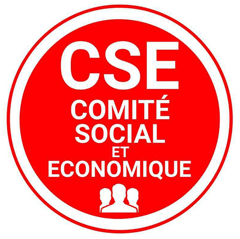 Formation CSE Comité Social et Économique Formation CSE Comité Social et Économique